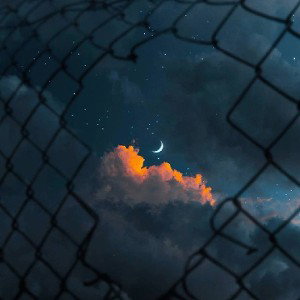 Нигером быть