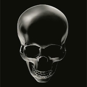 Black Phantoms