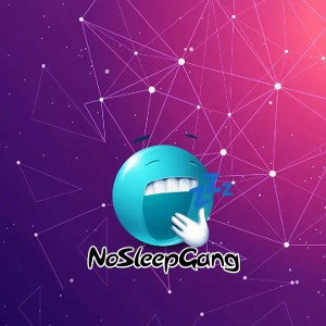 NSG(NoSleepGang)