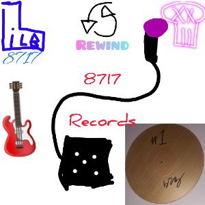 8717 records