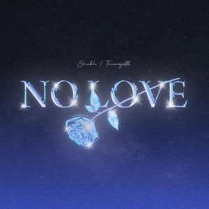 NO LOVE BABY