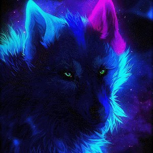 WOLVES OF MUSIC 