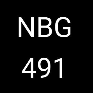 NBG491