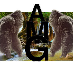 AMG ent