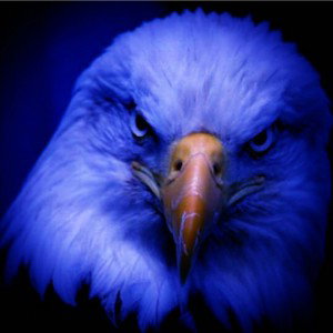 EAGLE-_-CLAN