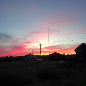 Диалоги