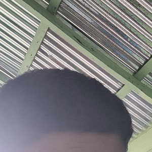 Pepe nono