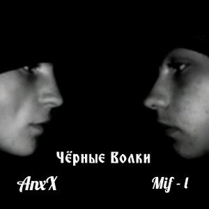 Чёрные Волки