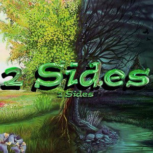 2 Sides
