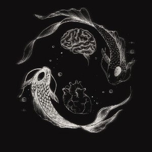 𝔖ℭ𝔄ℜ 𝔉𝔄𝔜𝔖