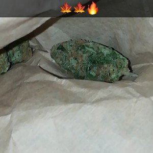 Wake and Bake
