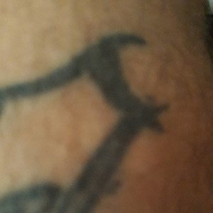 LaElite///666///consp.iluminados