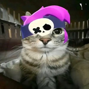 Brawl Cat