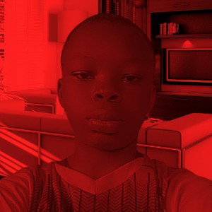 Quadri 