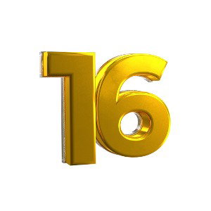 Team 16!