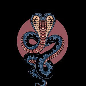Viper GaNg 