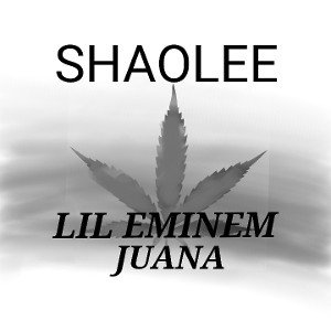 Schaolee