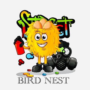 ~BIRD NEST~