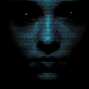 Dark-تاریک
