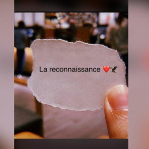 Les nouveaux son