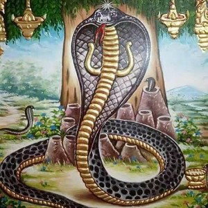 King cobra crew