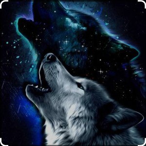 #2WOLVES 