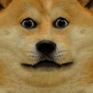 Dogsy/Догзи