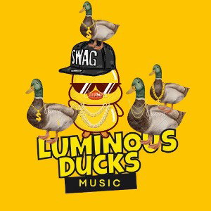 Luminous Ducks Records