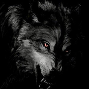 Wolve Gang 