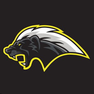 The BADGERS