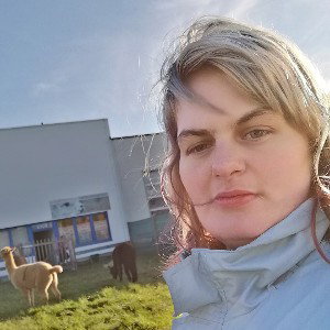 Kämpfende alpaka