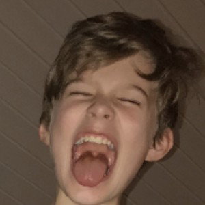 Young blitch