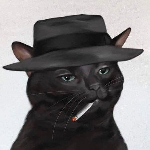 Para vos gato negro 