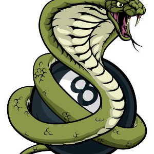Lil B and cobra's 