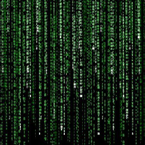 MATRIX BOYZ 