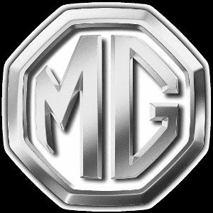 Piękne Istoty MG