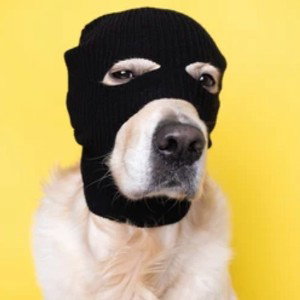 Heist Dawg Records