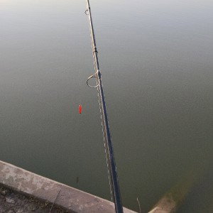 The Fisherman's 