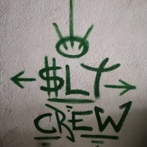 SIN- LÍMITES- CREW