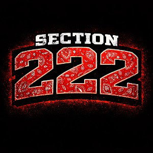 Section 222