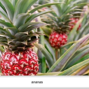 Fugasick ananasic