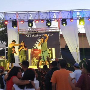 ARTE DEMENTE RECORDS
