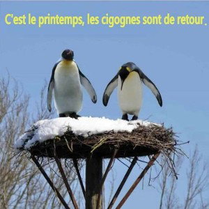 Le même