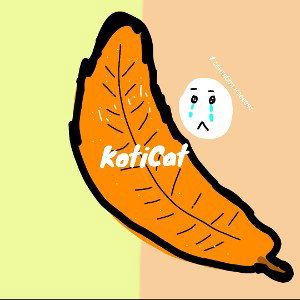 KotiCat