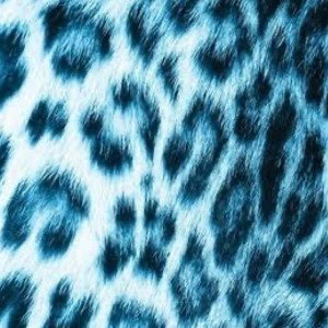 TheBlueWay