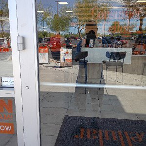 Hells Angels Vagos