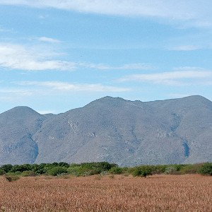Huachichilrap