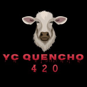 4/Yc