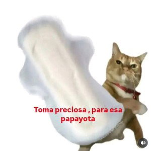 Colaboración y más