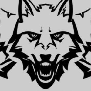 The wolf worries